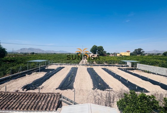 Finca · Revente - Albatera · Alicante · Espagne