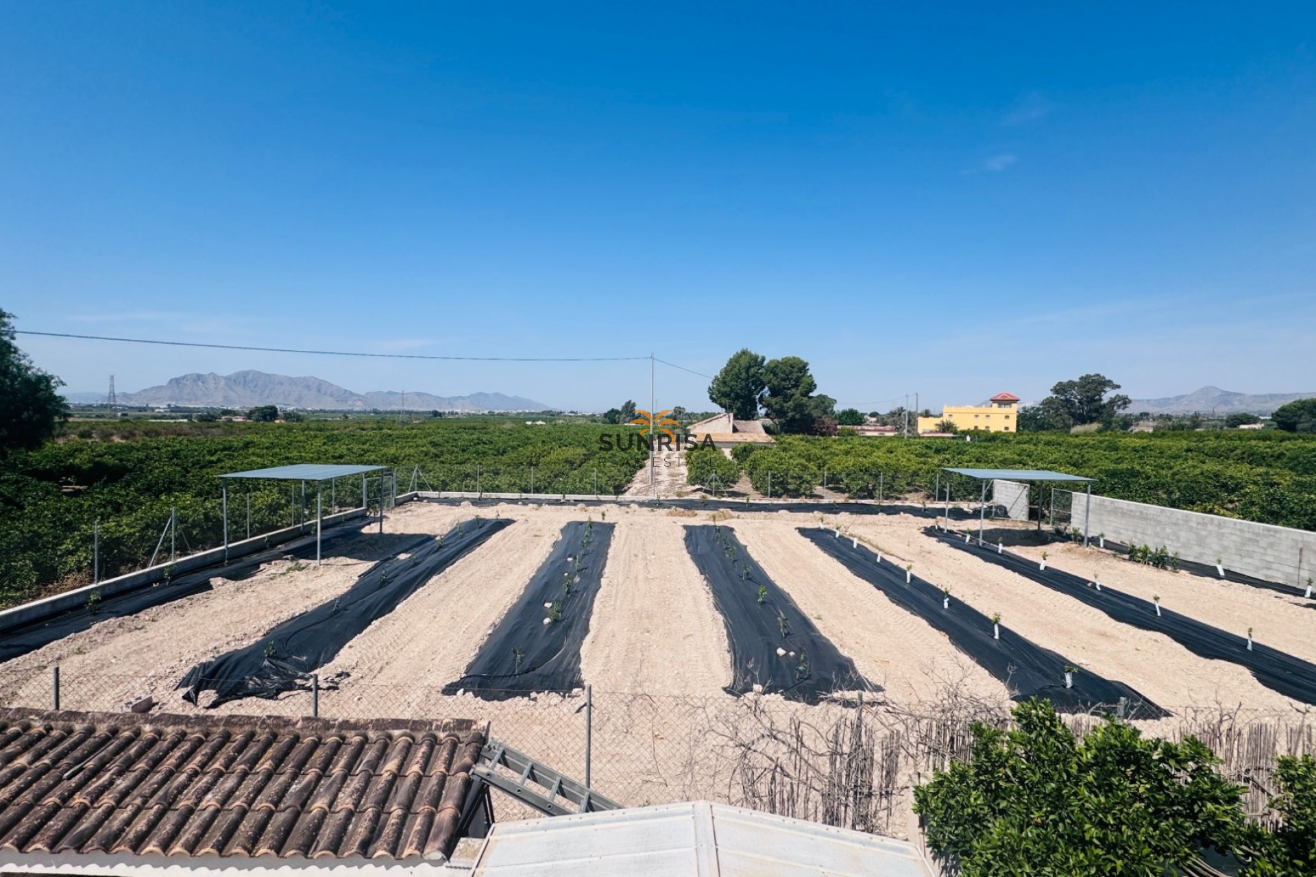 Revente - Finca - Albatera