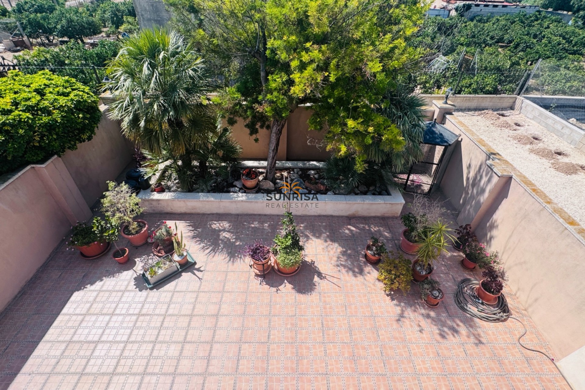 Revente - Finca - Albatera