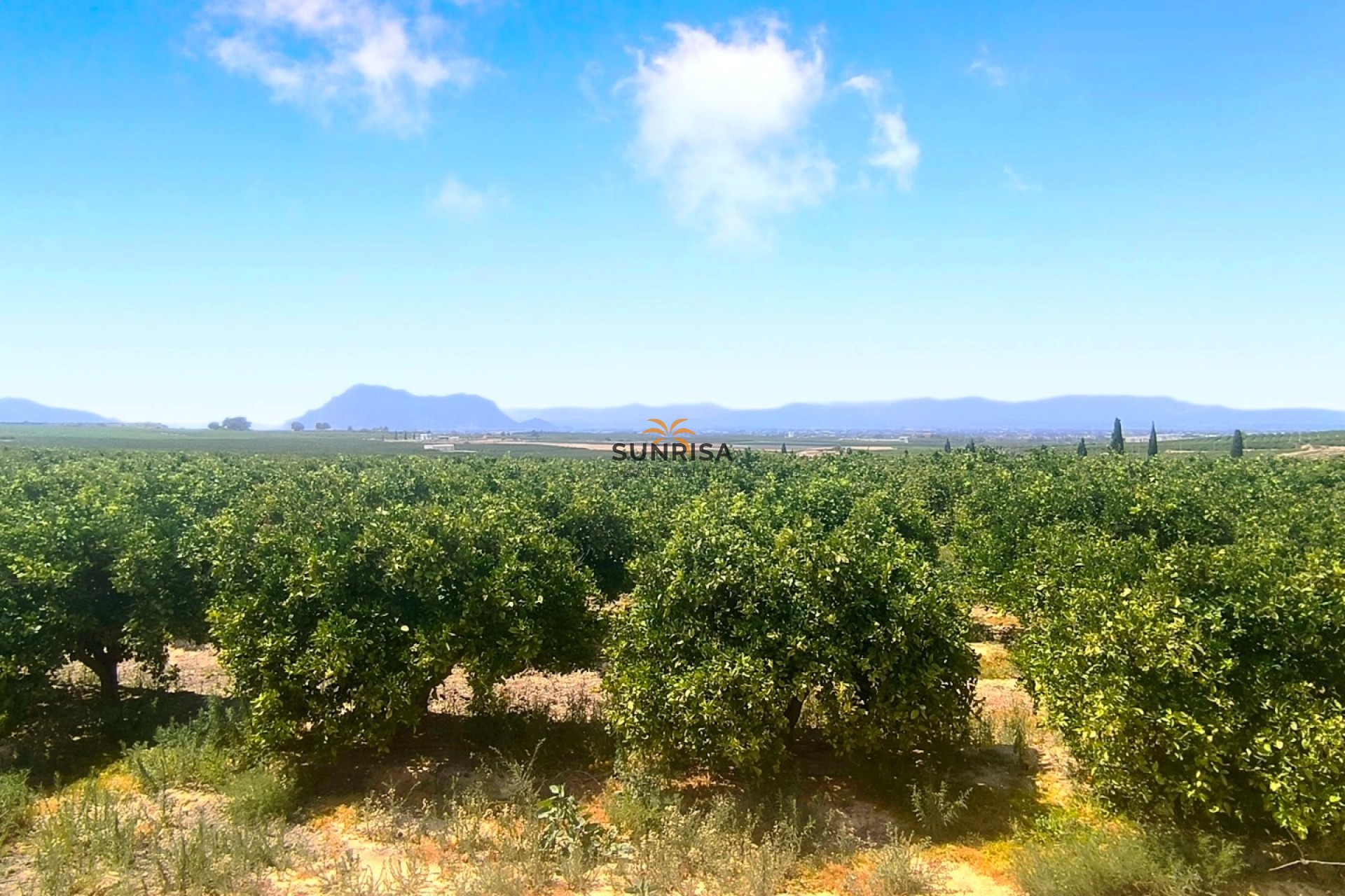Resale - Apartment - Algorfa