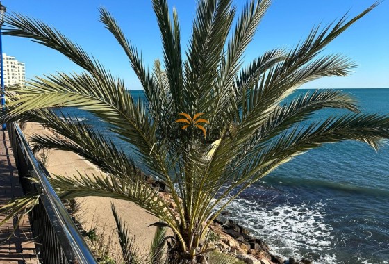 Villa · Revente - Orihuela Costa · Alicante · Espagne