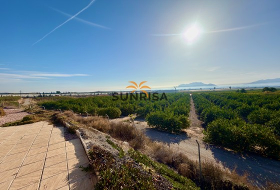 Finca · Reventa - La Murada · Alicante · España