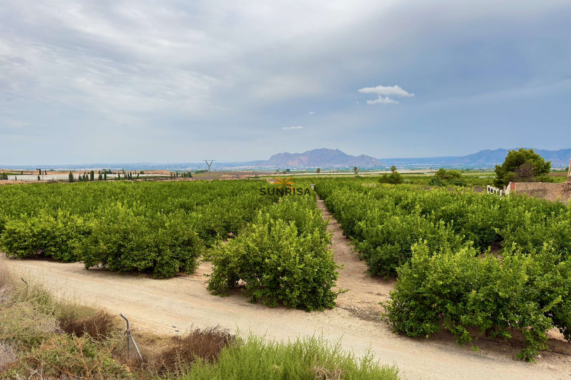 Reventa - Finca - La Murada