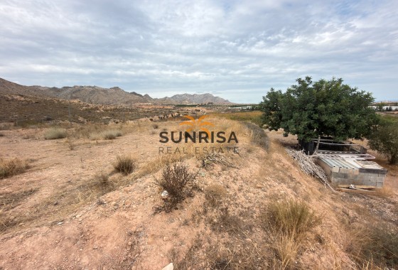 Finca · Reventa - La Murada · Alicante · España