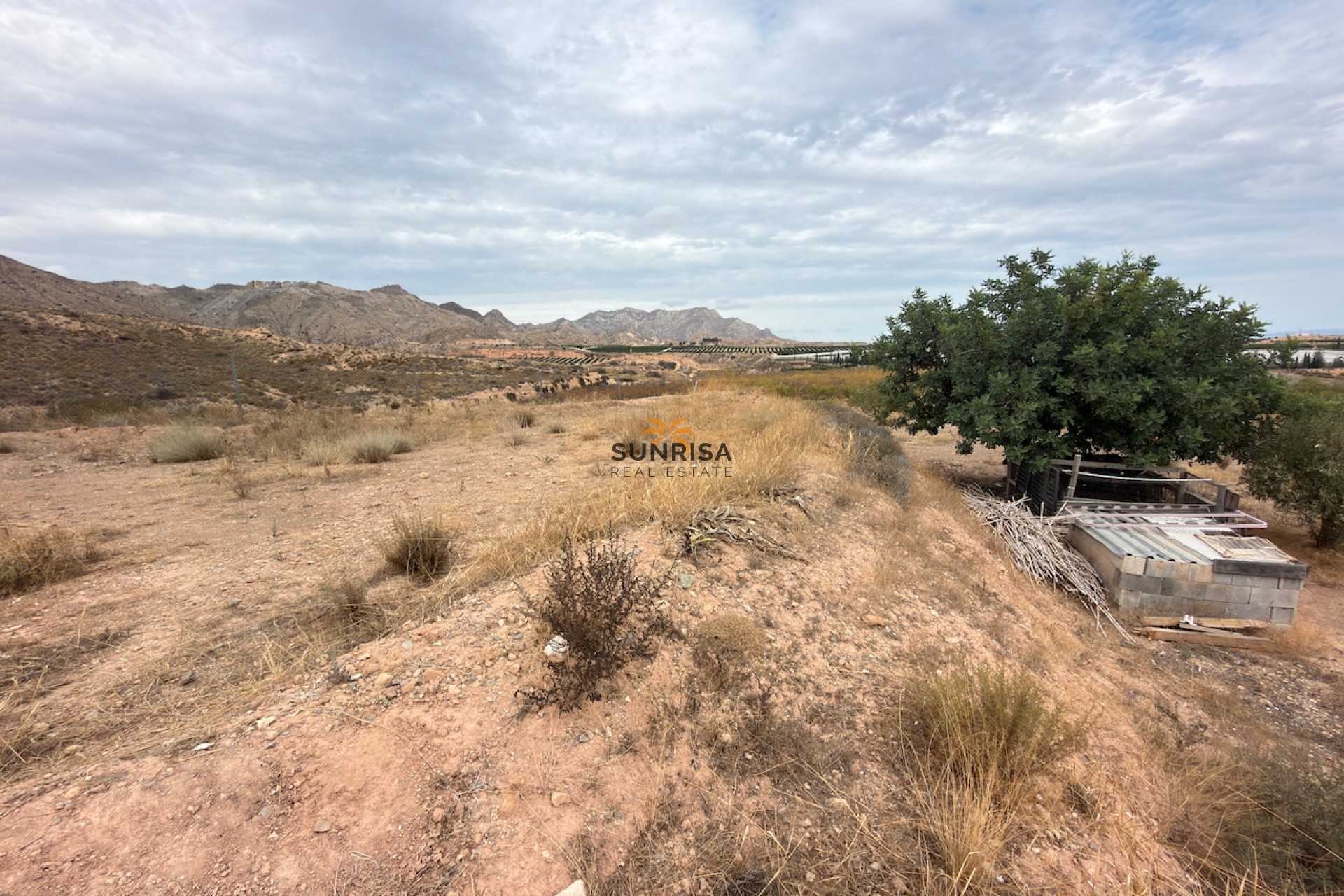 Reventa - Finca - La Murada