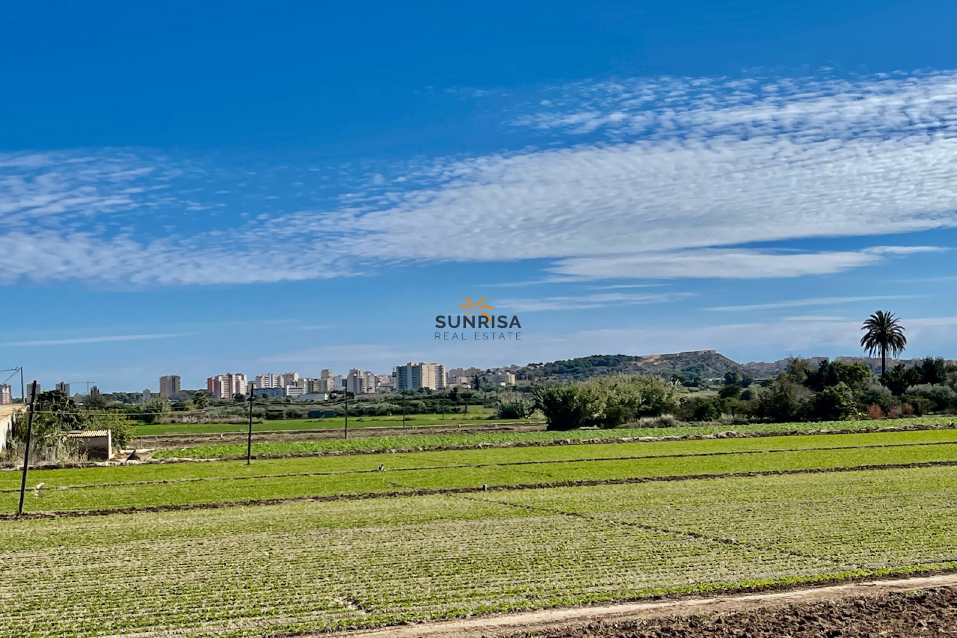 Reventa - Villa - Guardamar del Segura