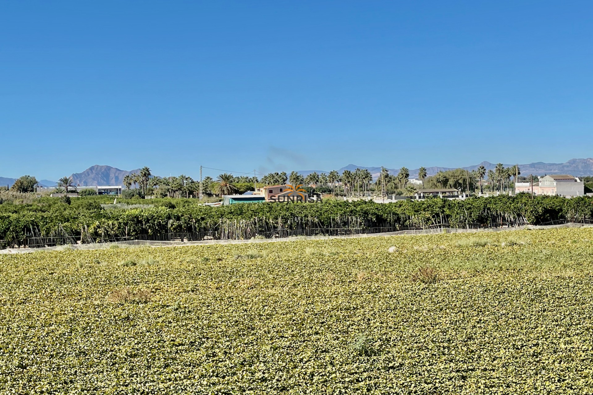 Reventa - Villa - Guardamar del Segura