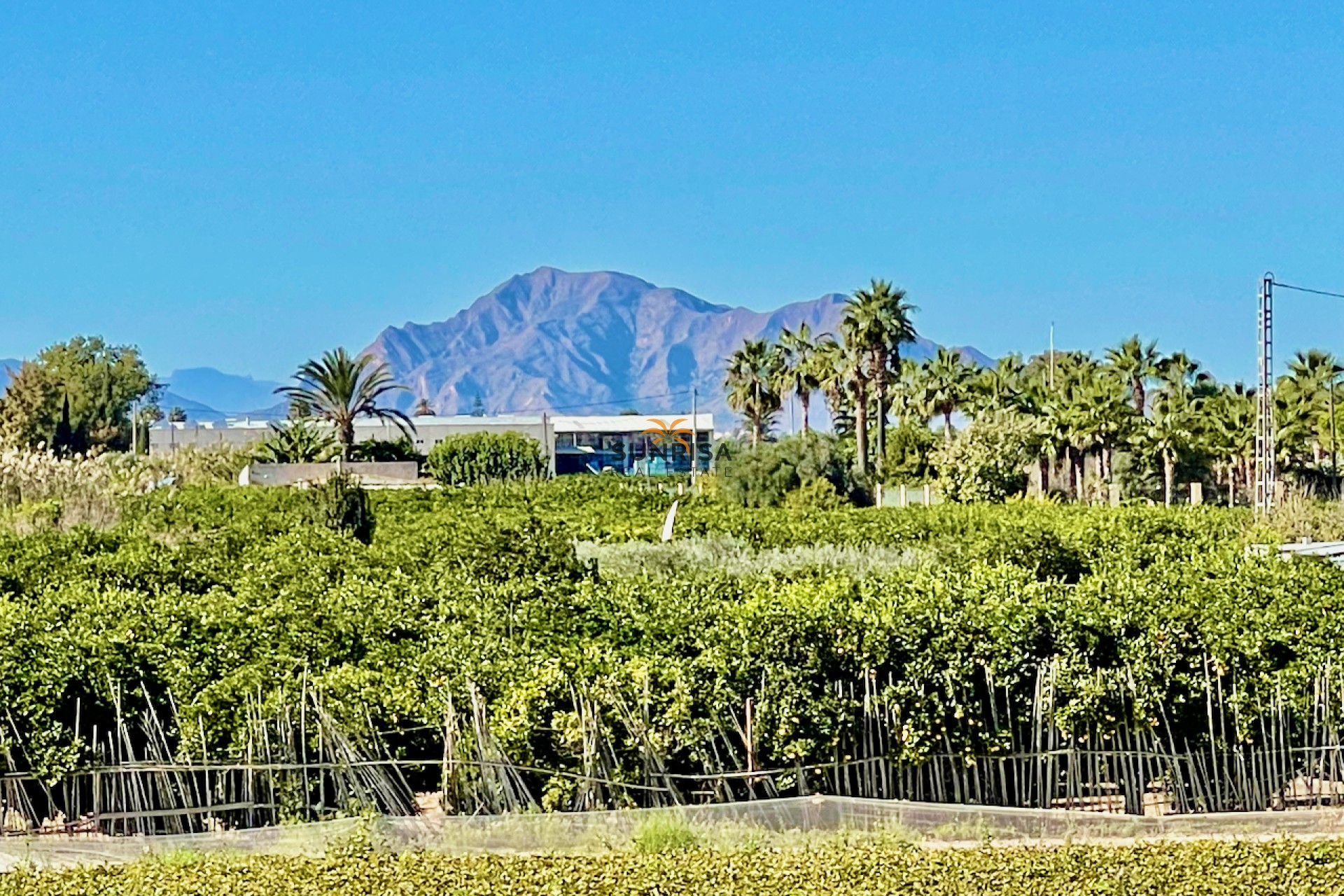 Reventa - Villa - Guardamar del Segura