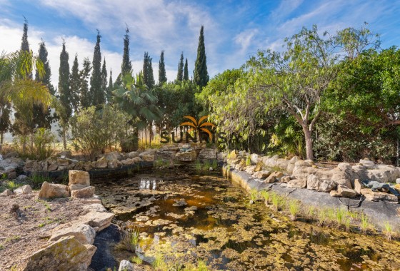 Finca · Herverkoop - Catral · Alicante · Spanje