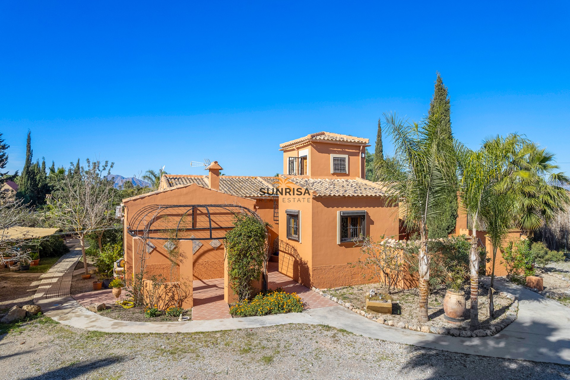 Herverkoop - Finca - Catral