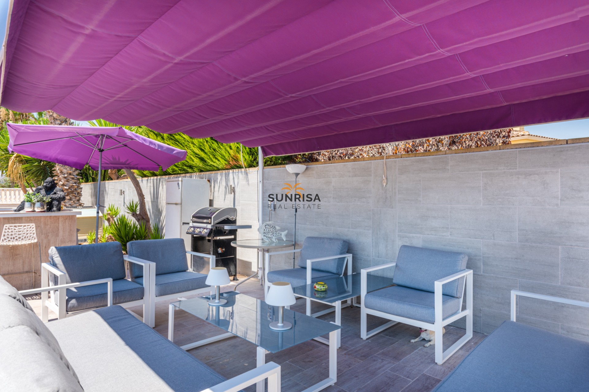 Revente - Finca - Catral