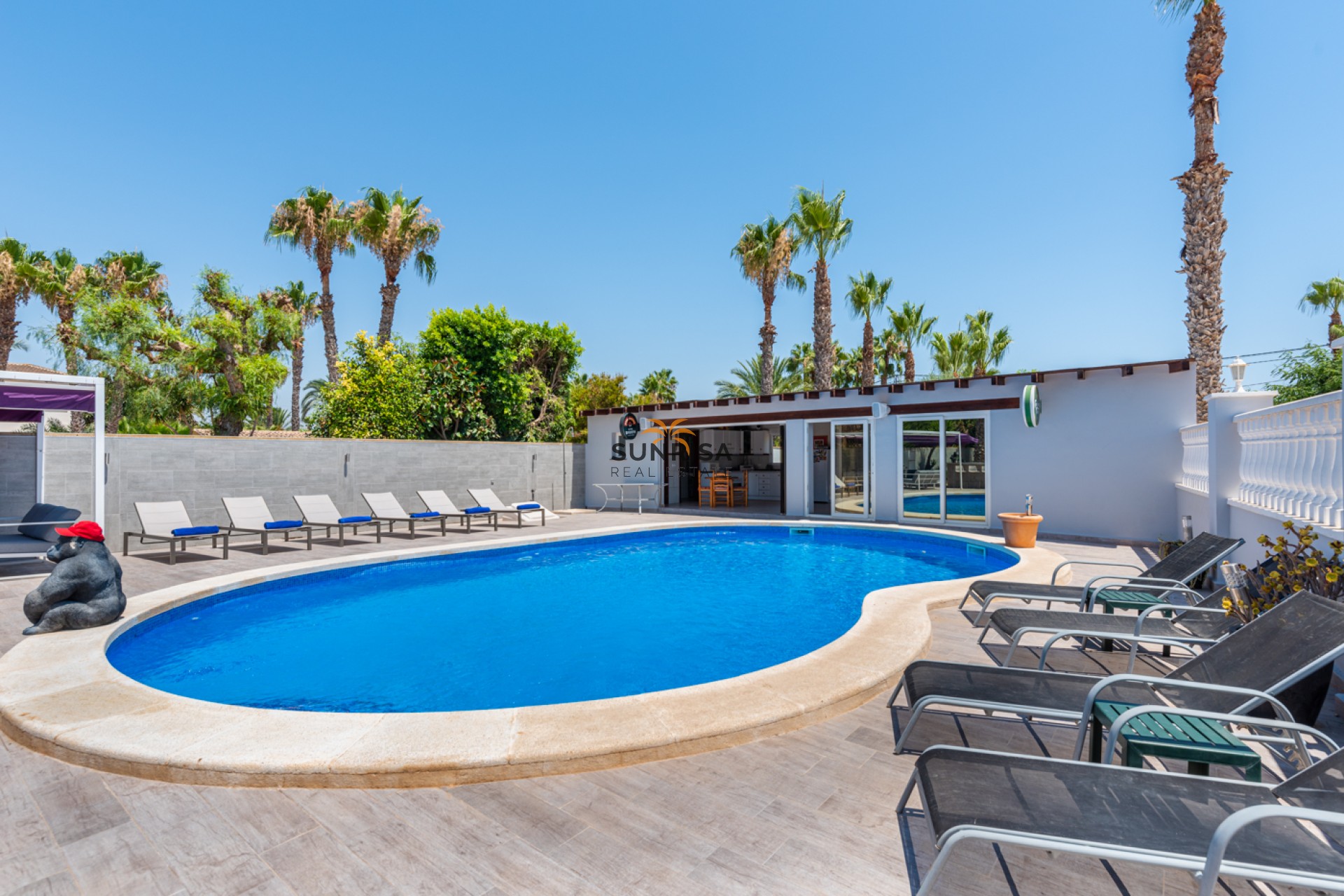 Revente - Finca - Catral