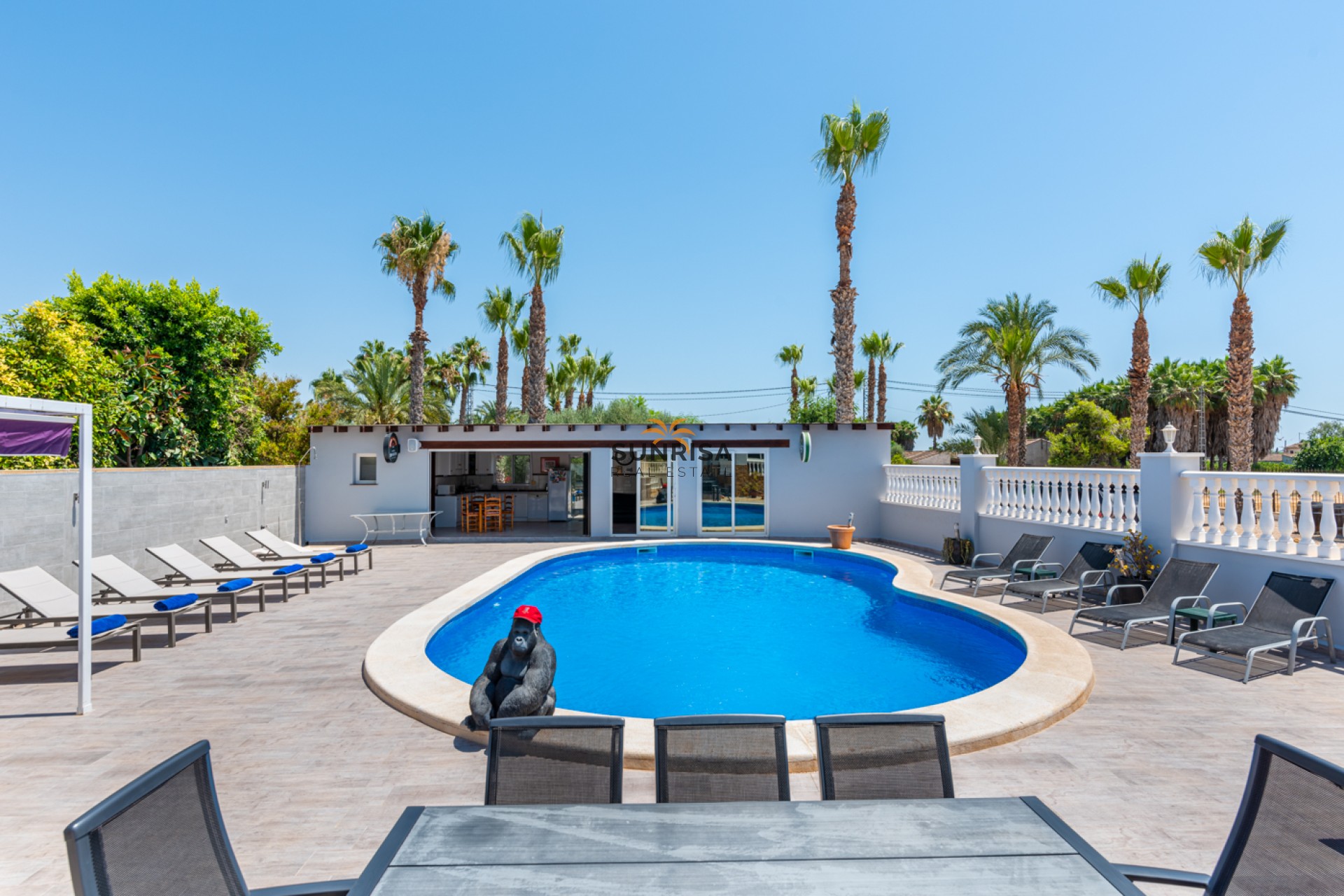 Revente - Finca - Catral