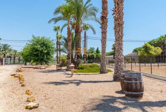 Finca · Reventa - Catral · Alicante · España