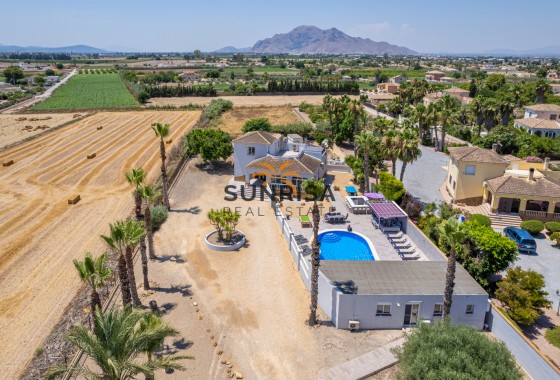 Finca · Reventa - Catral · Alicante · España
