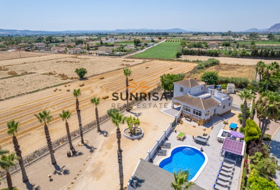 Finca · Reventa - Catral · Alicante · España