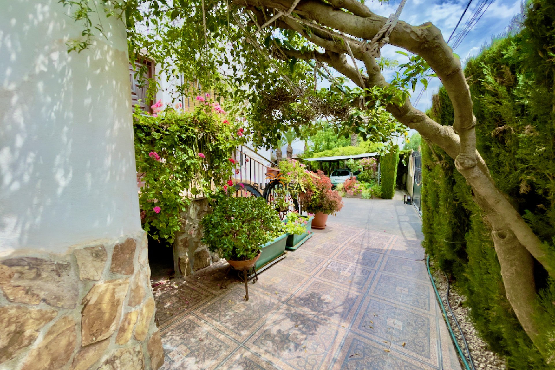 Herverkoop - Finca - Orihuela