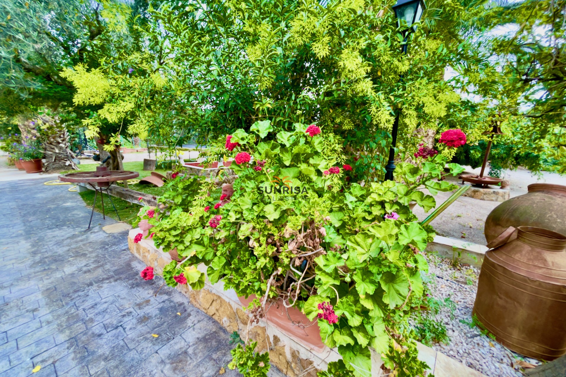 Herverkoop - Finca - Orihuela