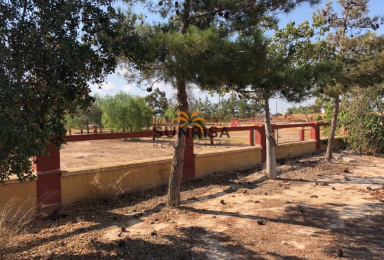 Finca · Reventa - Los Montesinos · Alicante · España