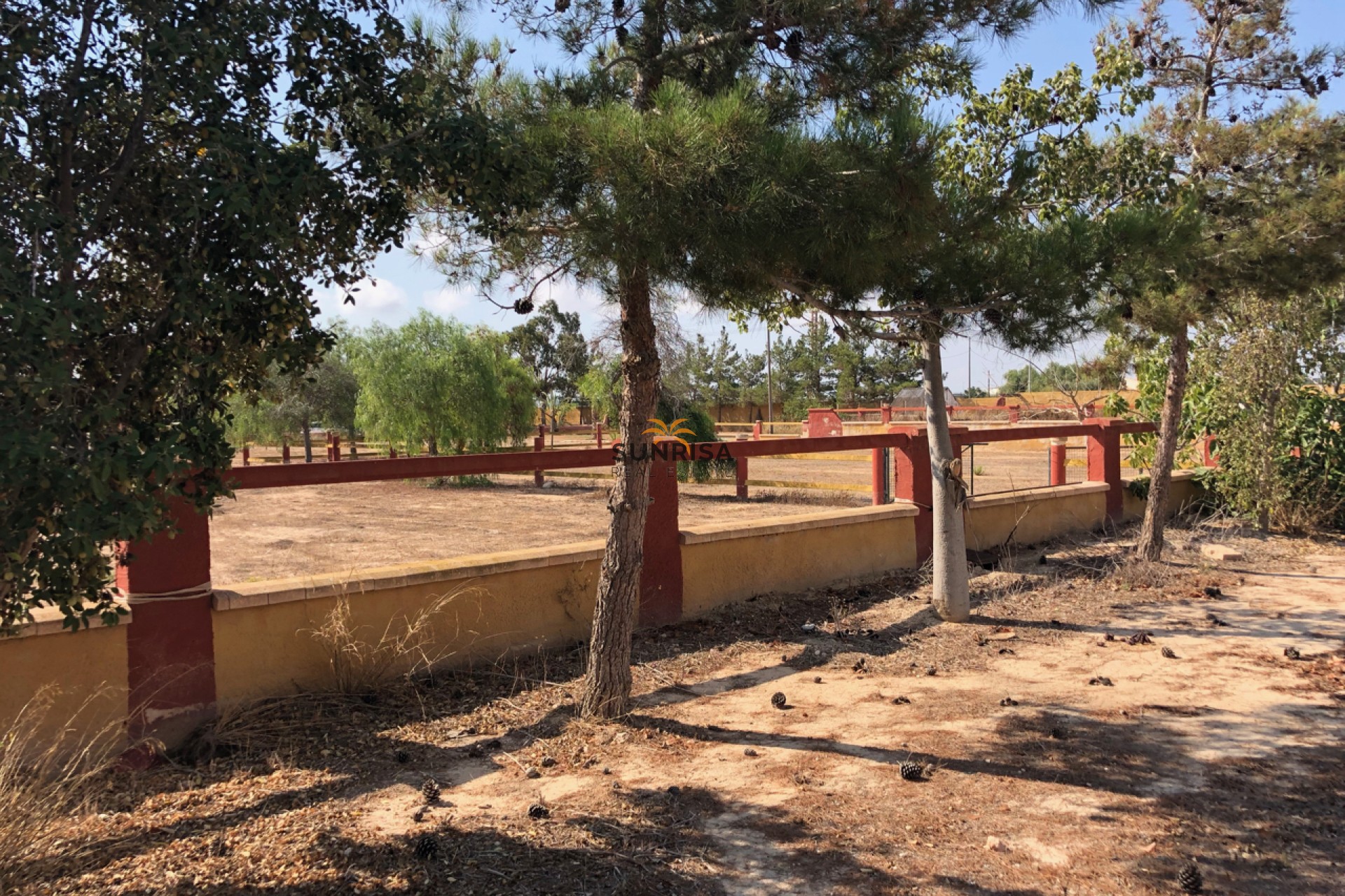 Reventa - Finca - Los Montesinos