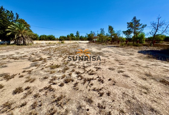 Finca · Reventa - Los Montesinos · Alicante · España