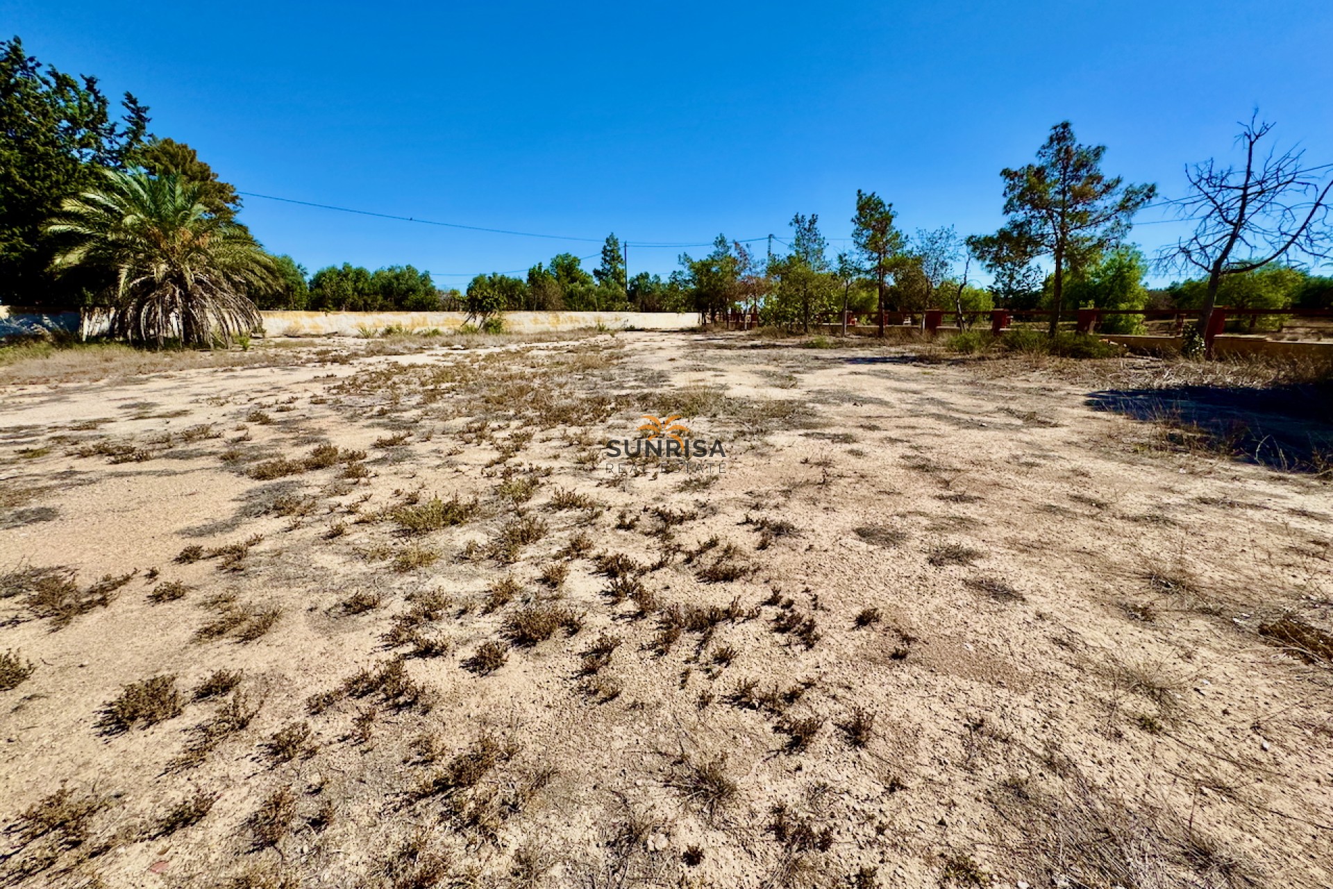 Reventa - Finca - Los Montesinos