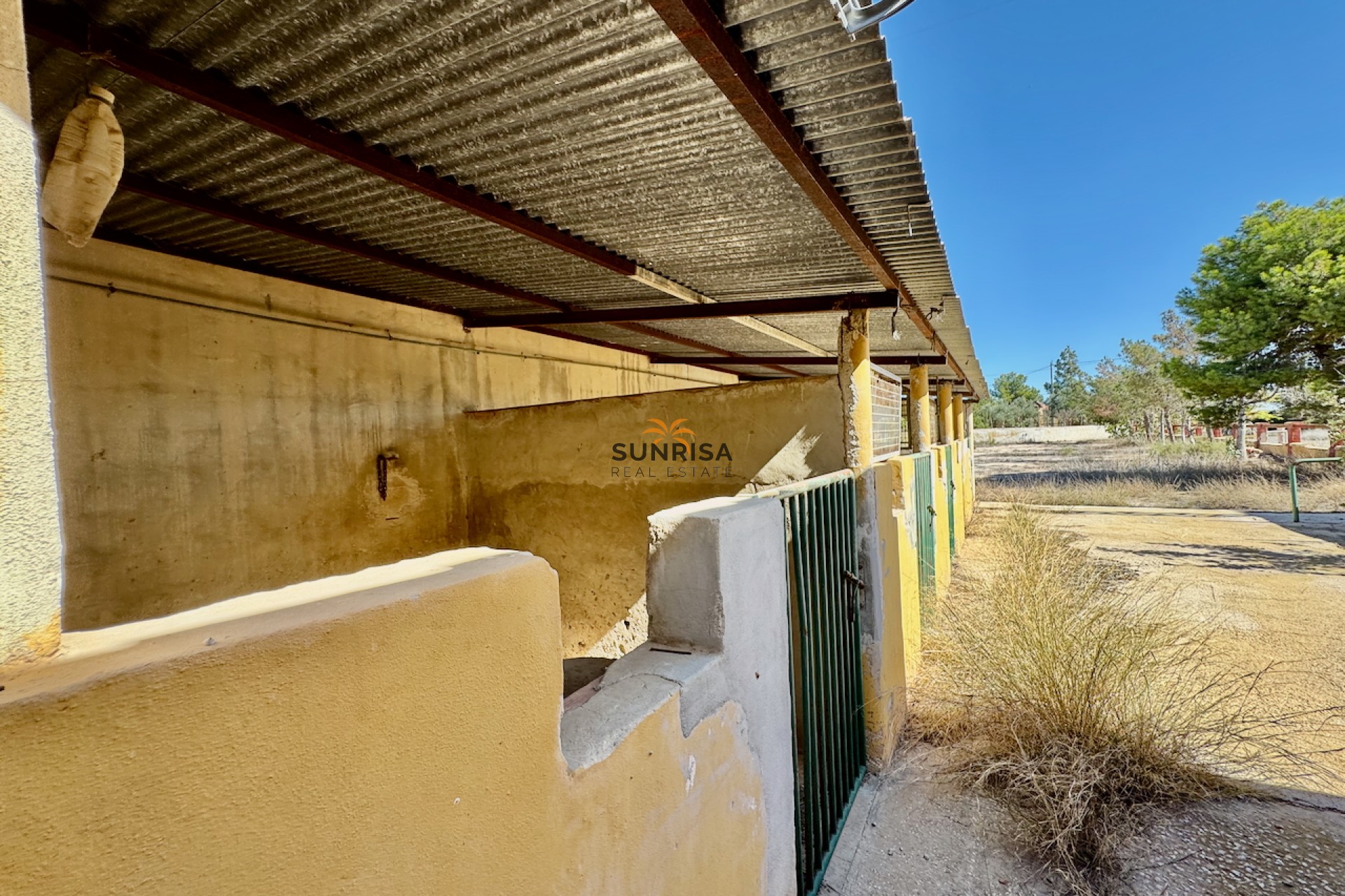 Reventa - Finca - Los Montesinos