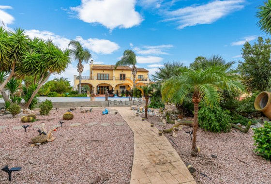 Finca · Reventa - Orihuela · Alicante · España