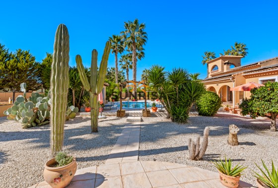Finca · Reventa - Rafal · Alicante · España
