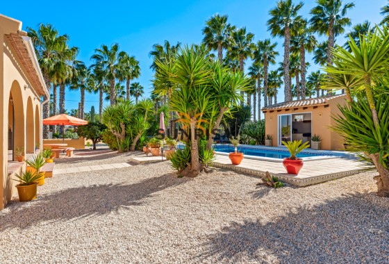 Finca · Reventa - Rafal · Alicante · España