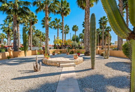Finca · Reventa - Rafal · Alicante · España