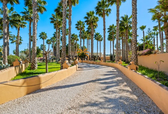 Finca · Reventa - Rafal · Alicante · España