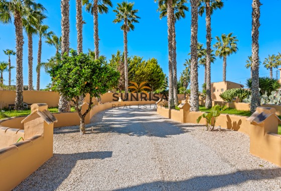 Finca · Reventa - Rafal · Alicante · España