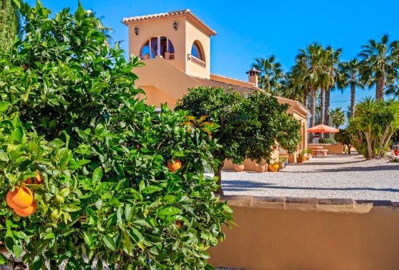 Finca · Reventa - Rafal · Alicante · España