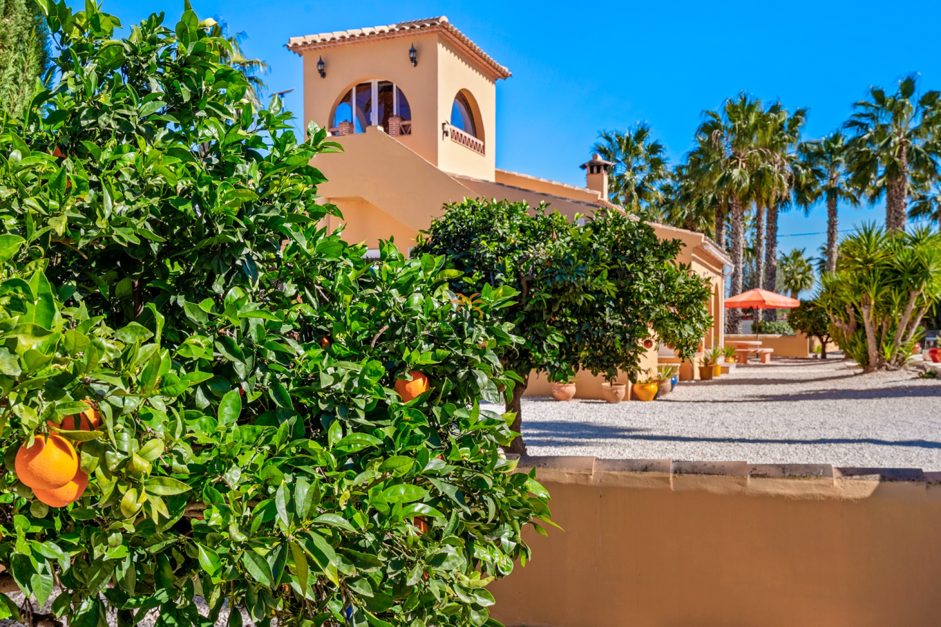 Reventa - Finca - Rafal