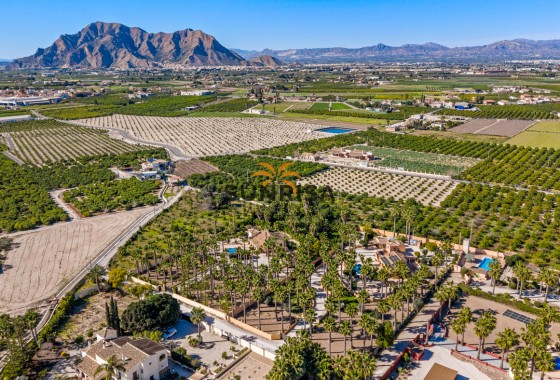 Finca · Reventa - Rafal · Alicante · España