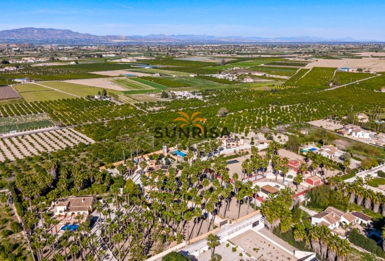 Finca · Reventa - Rafal · Alicante · España