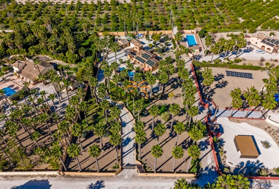 Finca · Reventa - Rafal · Alicante · España
