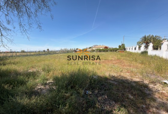 Finca · Resale - Catral · Alicante · Spain