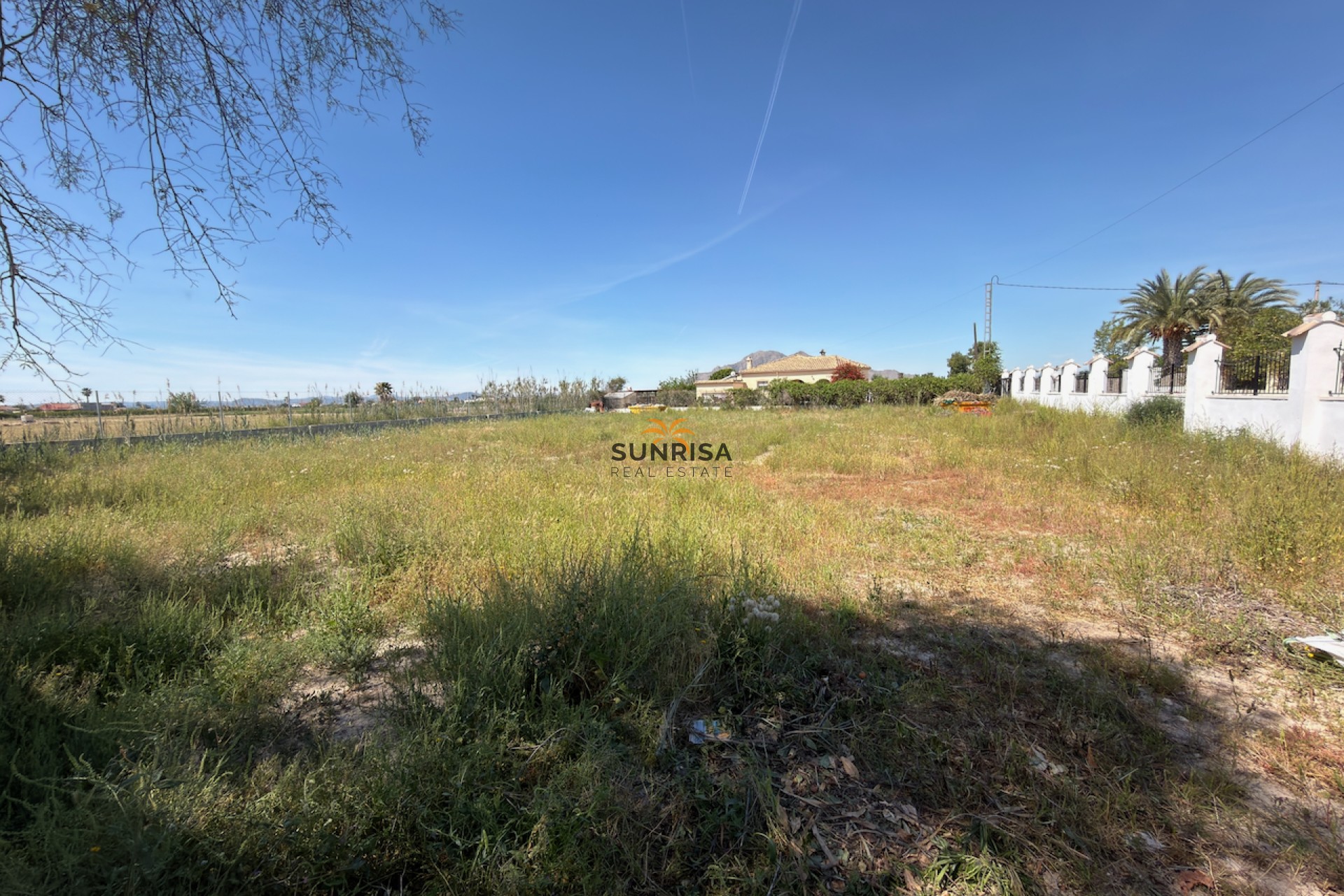 Resale - Finca - Catral