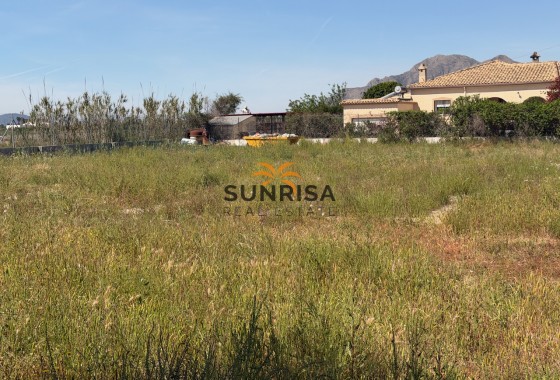 Finca · Resale - Catral · Alicante · Spain