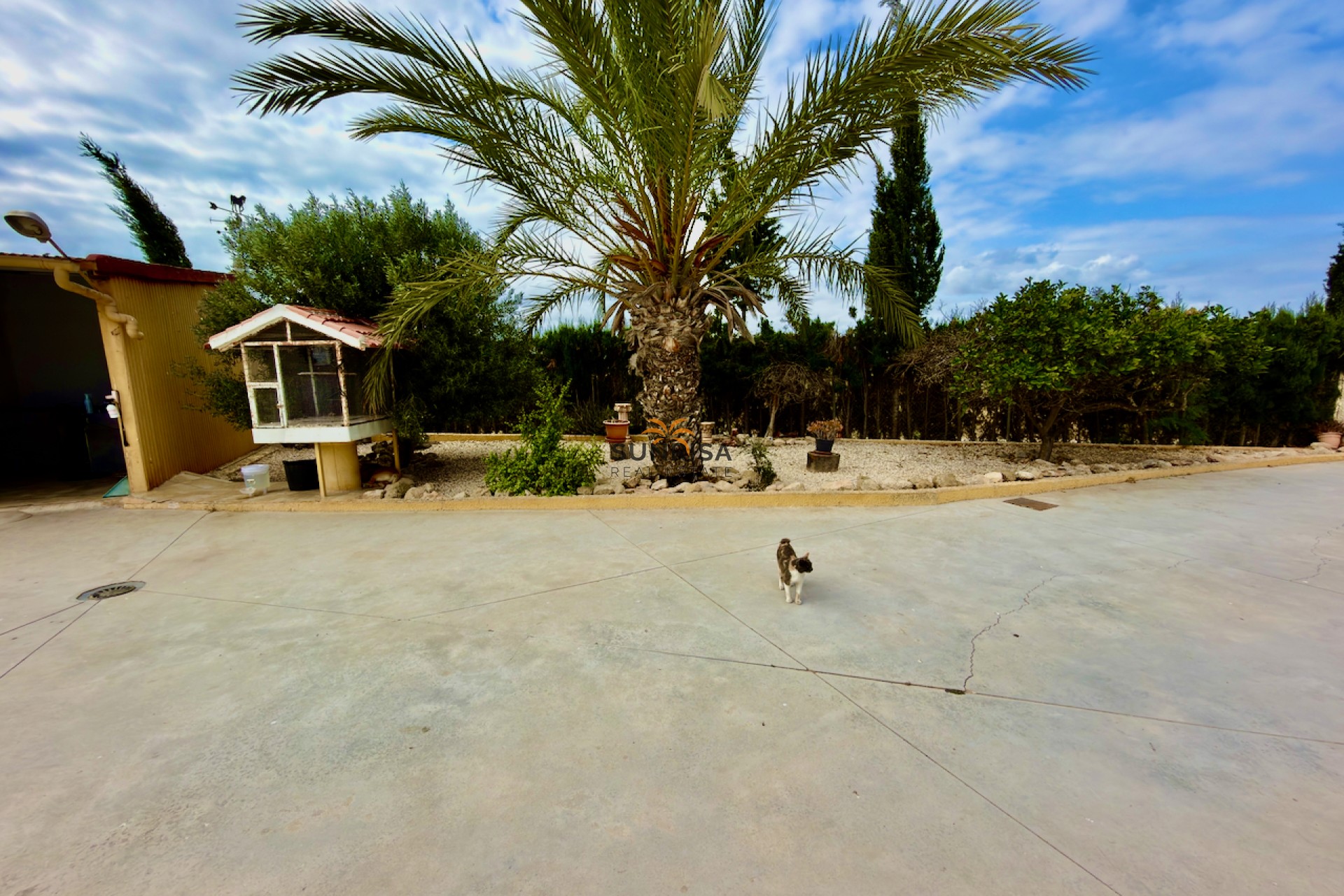 Herverkoop - Finca - San Fulgencio