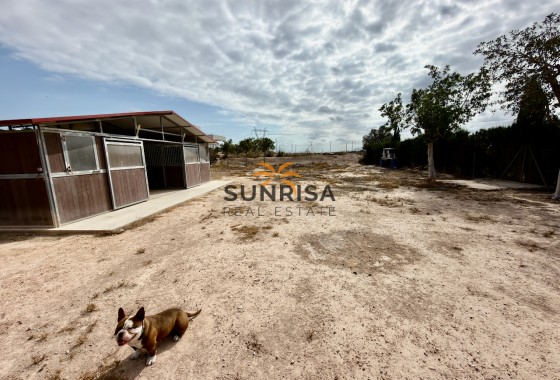 Finca · Herverkoop - San Fulgencio · Urb. La Marina · Alicante · Spanje