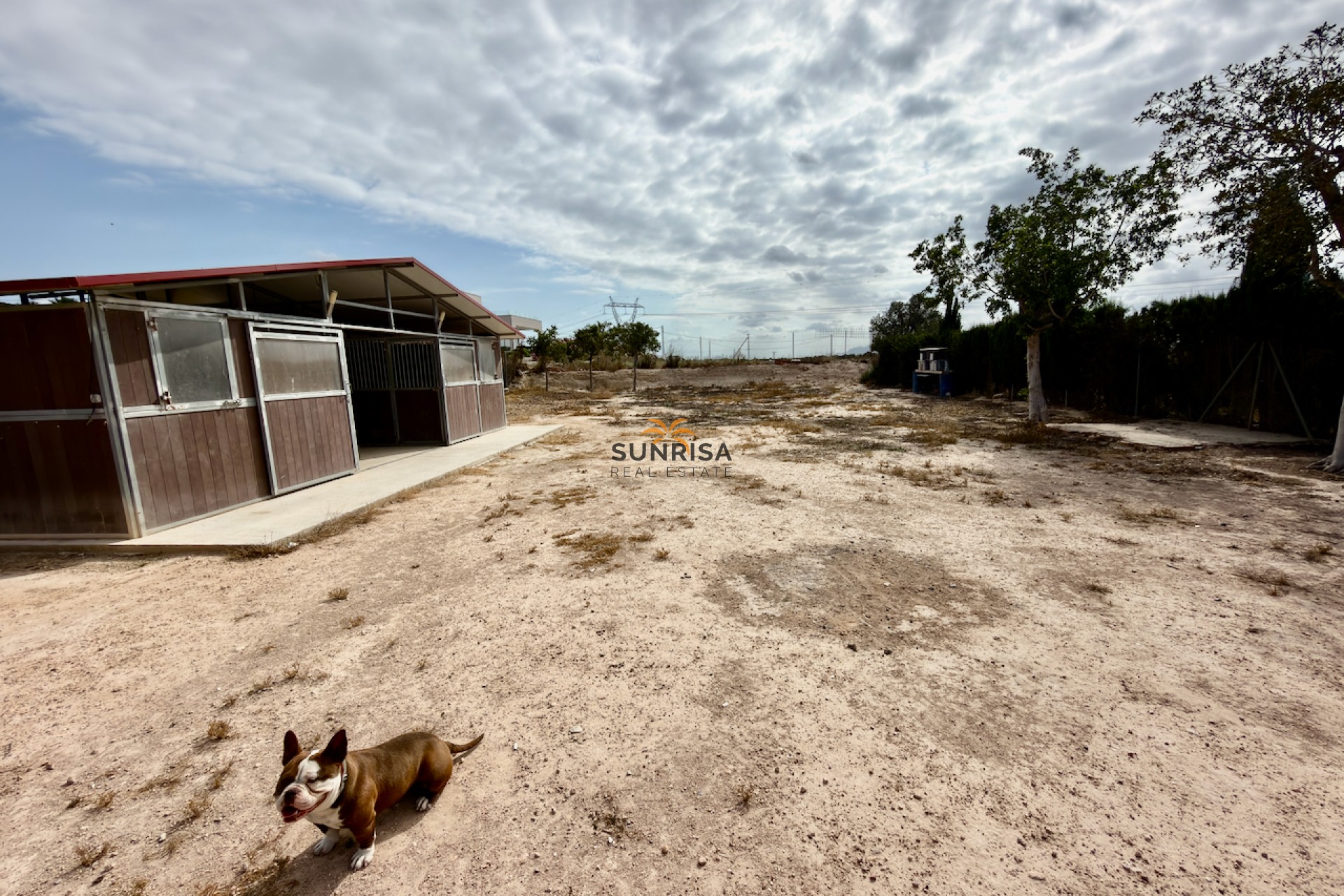 Herverkoop - Finca - San Fulgencio