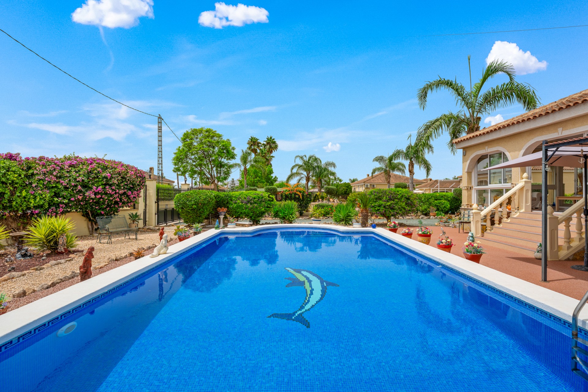Resale - Finca - Catral