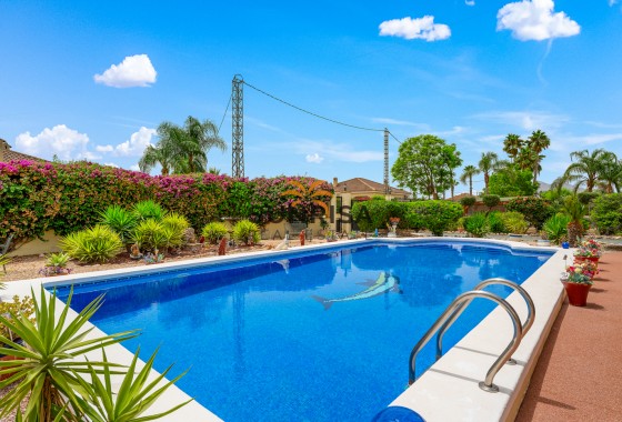 Finca · Resale - Catral · Alicante · Spain