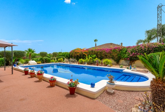 Finca · Resale - Catral · Alicante · Spain