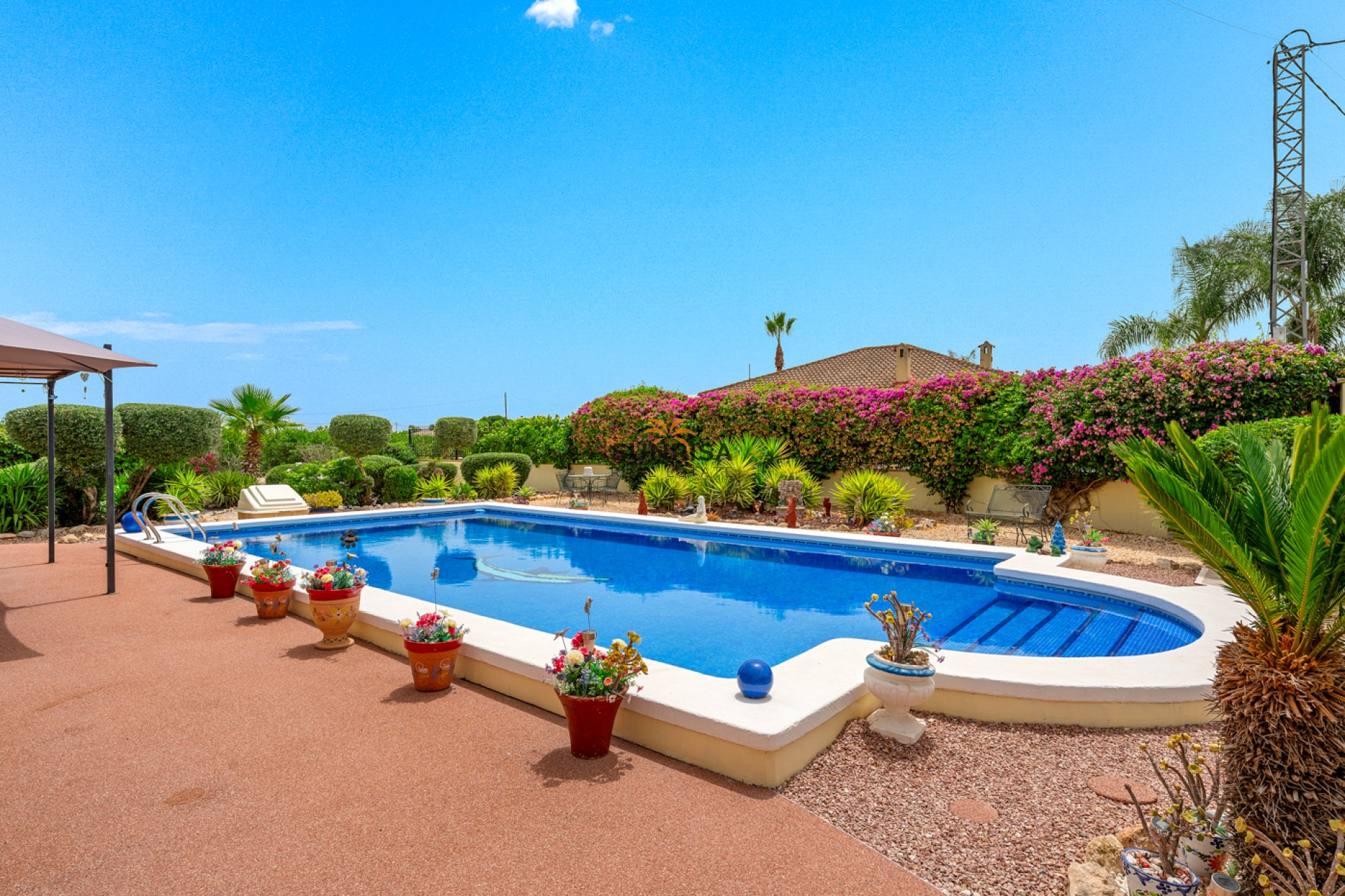 Resale - Finca - Catral
