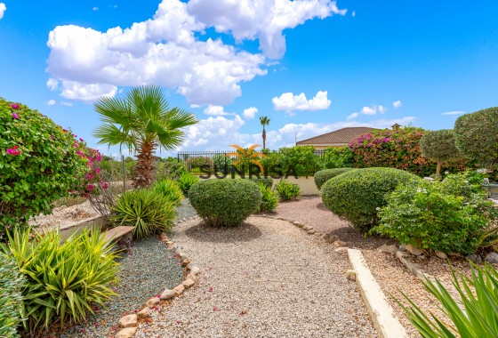 Finca · Resale - Catral · Alicante · Spain