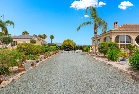Finca · Resale - Catral · Alicante · Spain